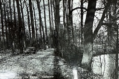 Photo782909860579_inner_20-304-708-304-14-738-703-738