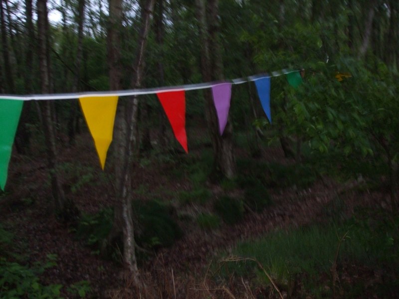 2010-05-13-dauwtrappen-08