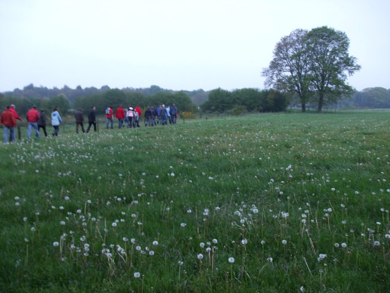 2010-05-13-dauwtrappen-11