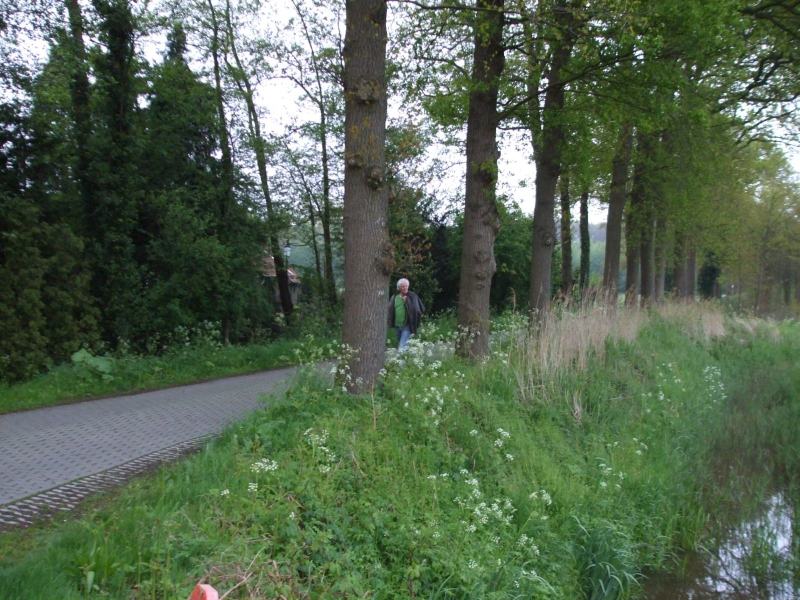2010-05-13-dauwtrappen-16