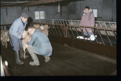 image0021