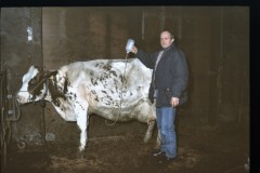 image0033