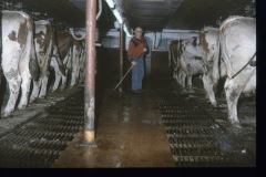 image0035