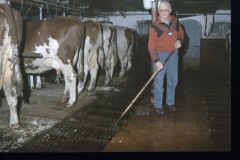 image0036