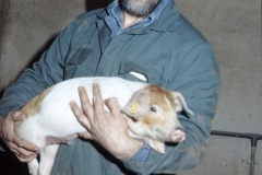image0059