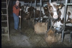 image0067