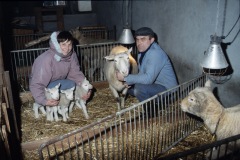image0079