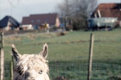 image0086