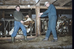 image0089