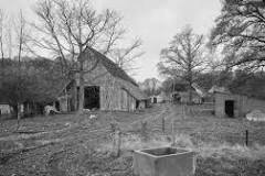 Gelster-Renger-16