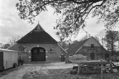 Gelster-Renger-19