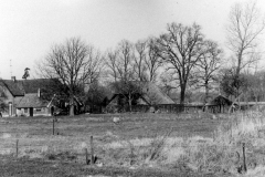 boerderij-arendsen