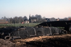 image0263